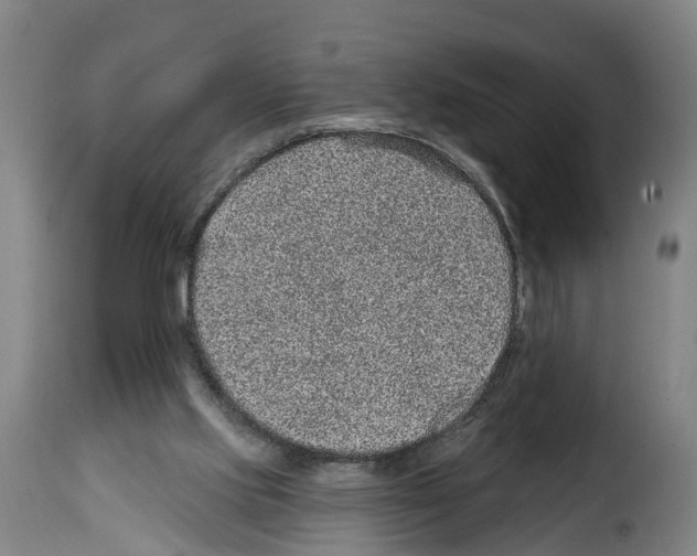 X0000114200061200911201009