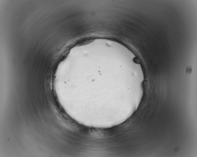 X0000114200062200911201009