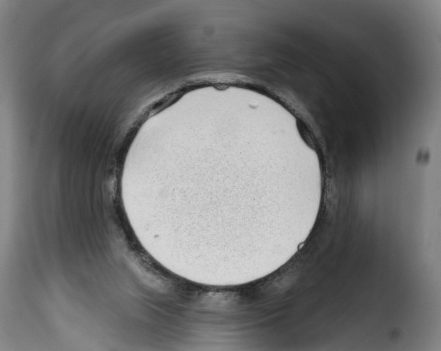 X0000114200063200911201009