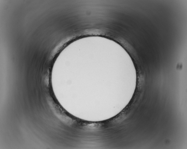 X0000114200064200911201009