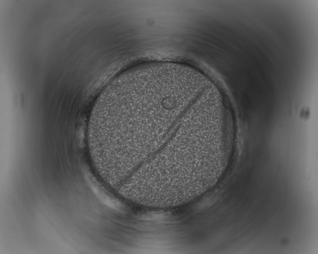 X0000114200065200911201009