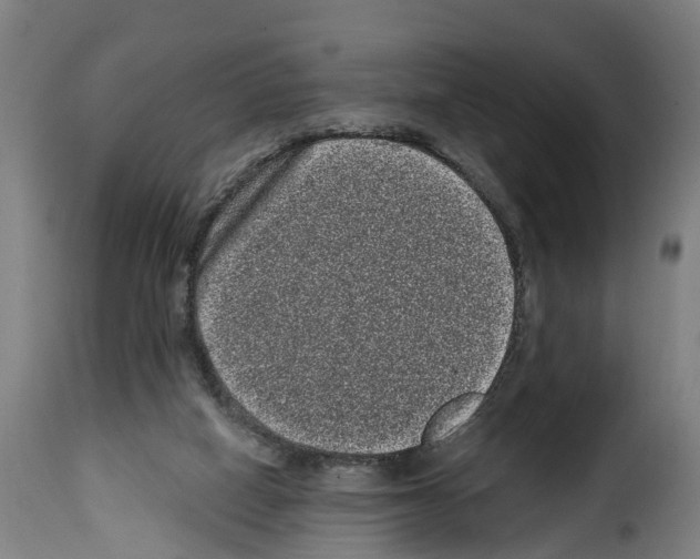 X0000114200066200911201009