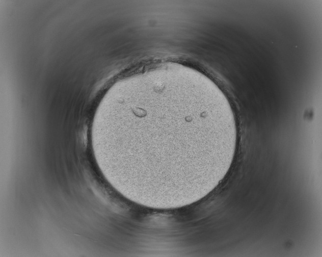 X0000114200067200911201009