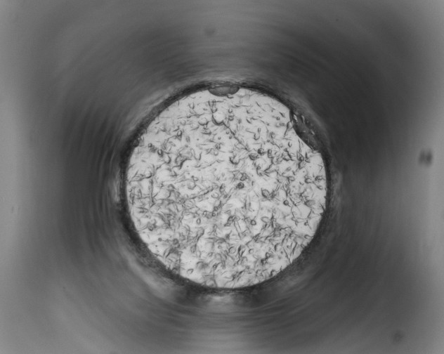 X0000114200068200911201009