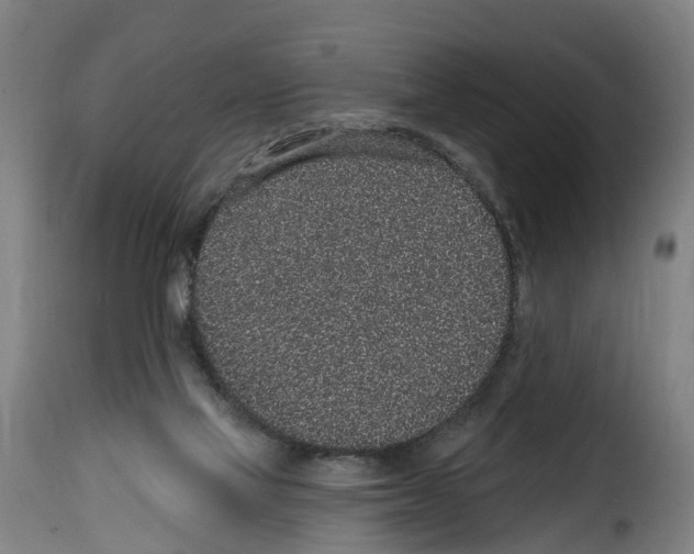 X0000114200069200911201010