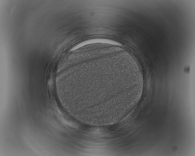 X0000114200074200911201010