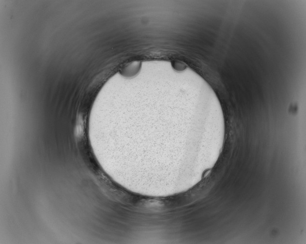 X0000114200075200911201010