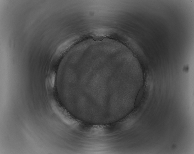 X0000114200076200911201010