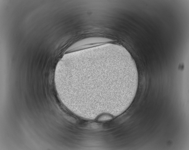 X0000114200078200911201010