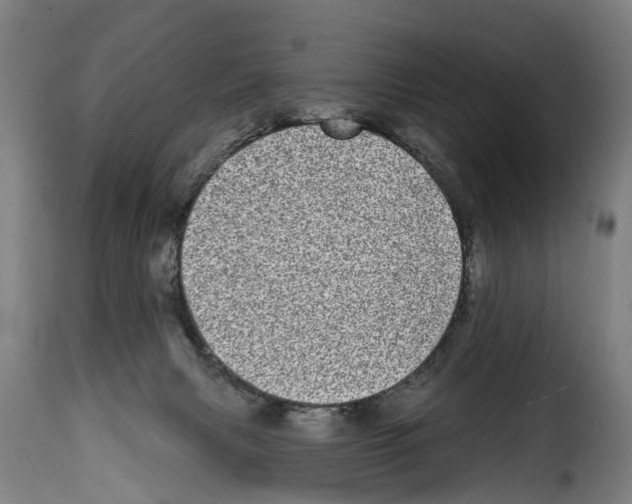 X0000114200079200911201010