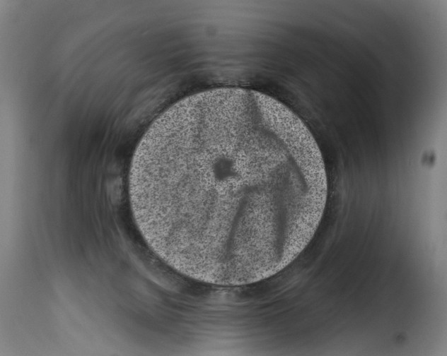 X0000114200080200911201010