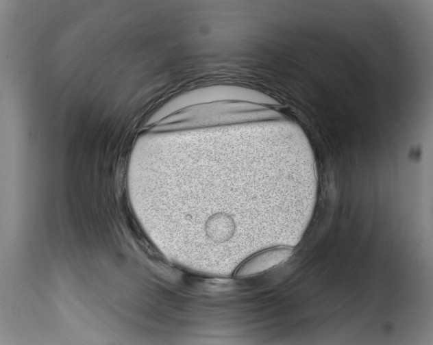 X0000114200082200911201010