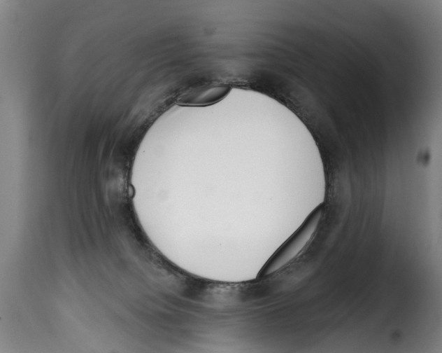 X0000114200084200911201010