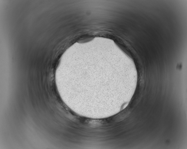 X0000114200085200911201010