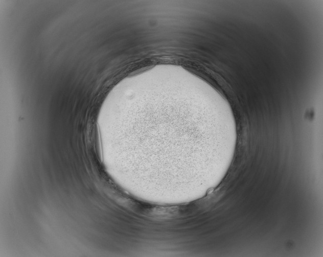 X0000114200086200911201010