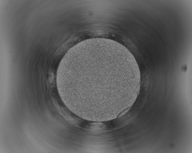 X0000114200087200911201010