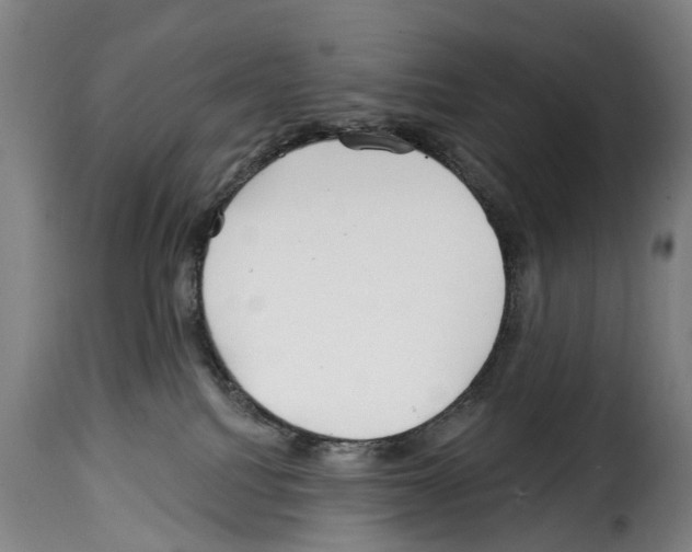 X0000114200088200911201010