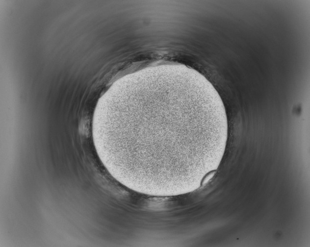 X0000114200090200911201010