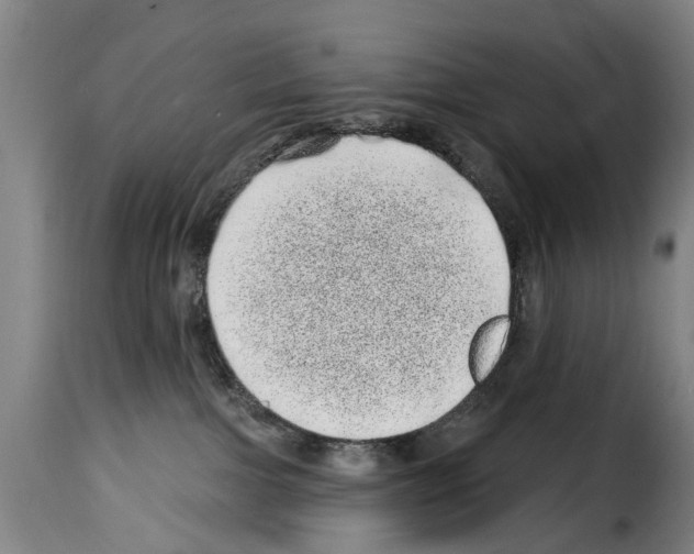 X0000114200091200911201010