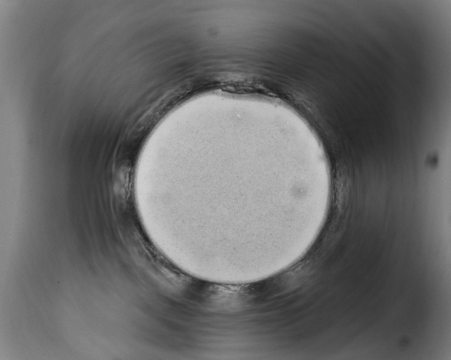 X0000114200093200911201010