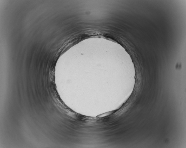 X0000114200096200911201010