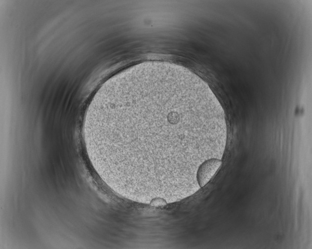 X0000114200098200911201009