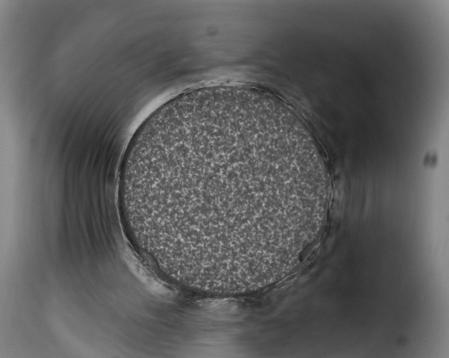 X0000114200100200911201009