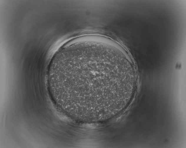 X0000114200103200911201009