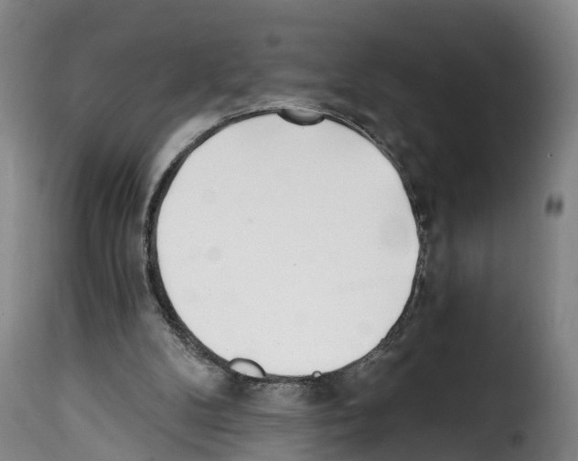 X0000114200104200911201009