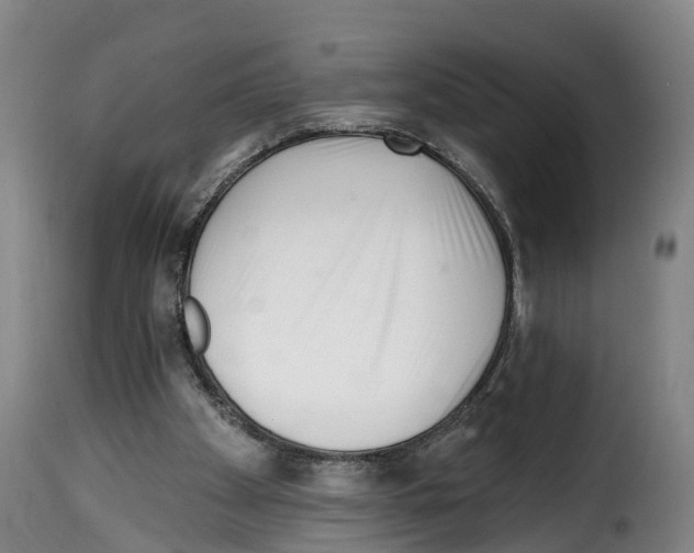 X0000114200105200911201009