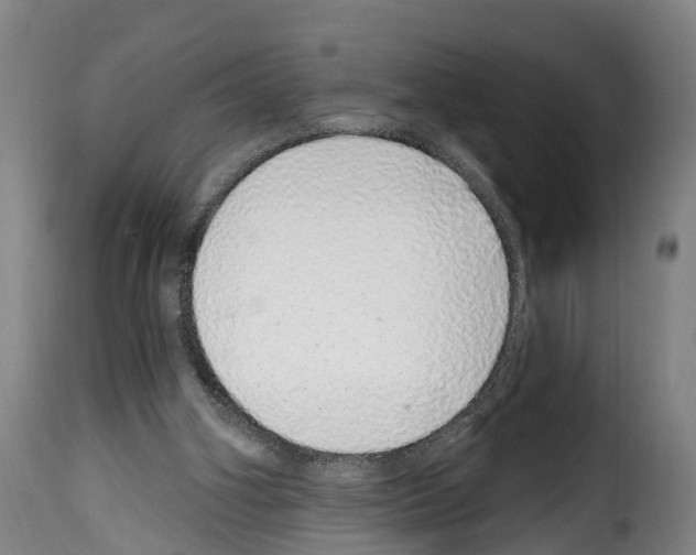 X0000114200106200911201009