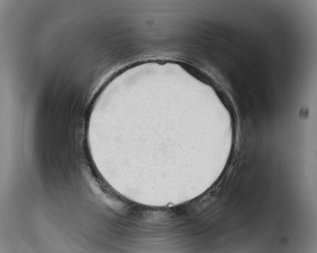 X0000114200107200911201009