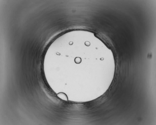 X0000114200108200911201009