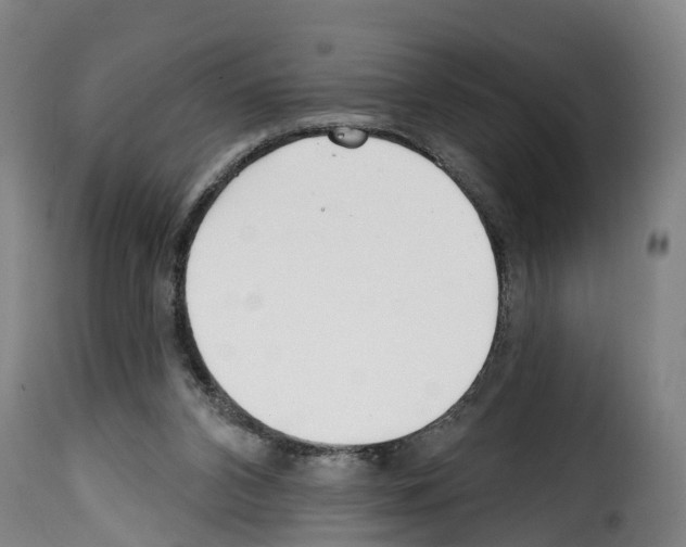 X0000114200112200911201009