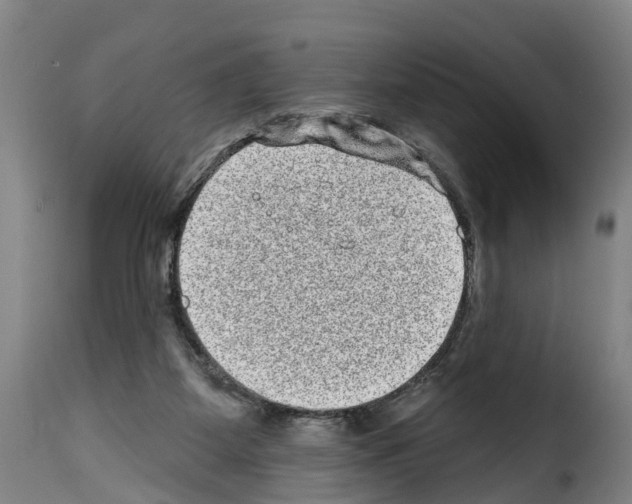 X0000114200115200911201009