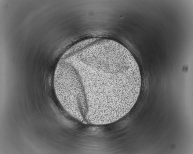 X0000114200117200911201009