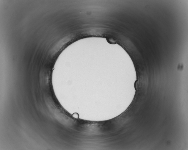 X0000114200120200911201009