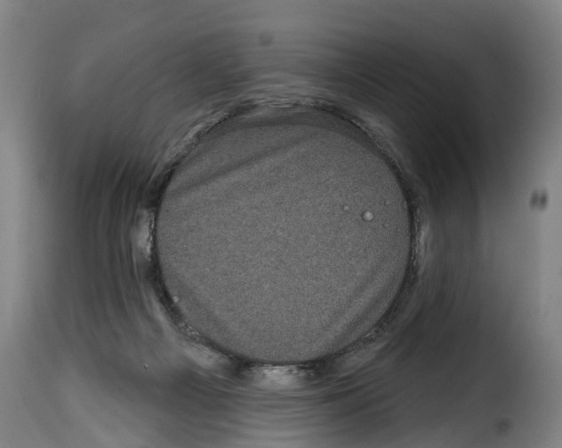 X0000114200121200911201009