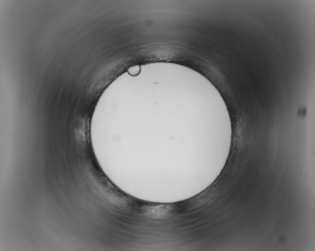 X0000114200122200911201009