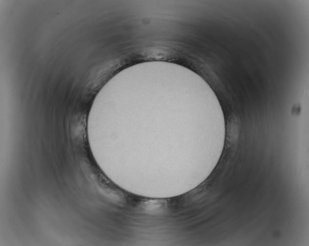 X0000114200126200911201009