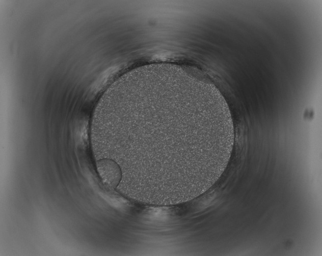 X0000114200127200911201009