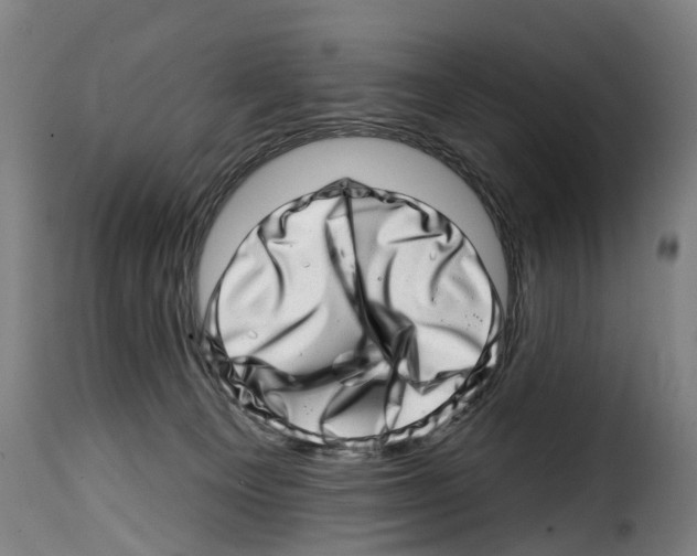 X0000114200129200911201009