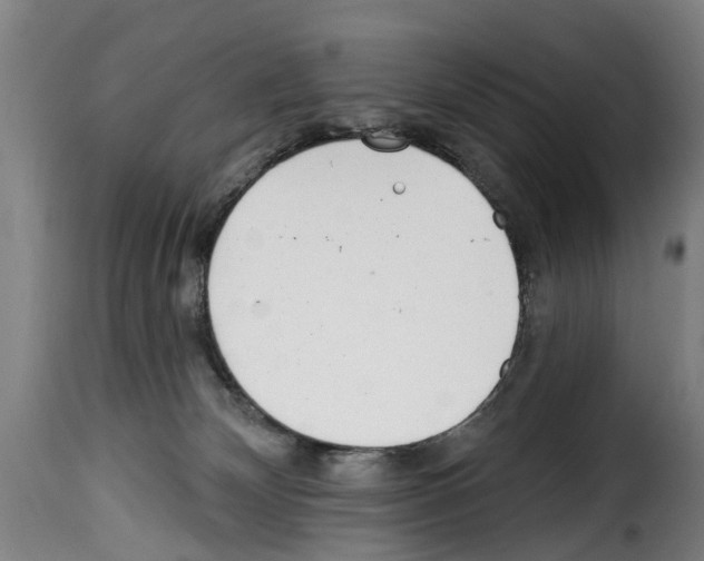 X0000114200132200911201009