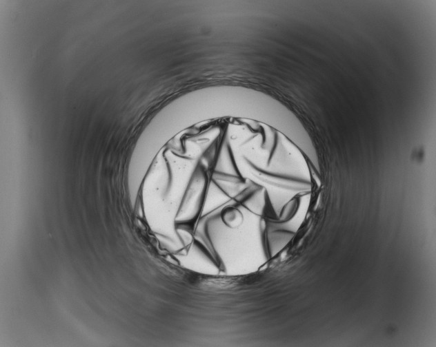 X0000114200133200911201009