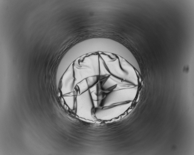 X0000114200136200911201009