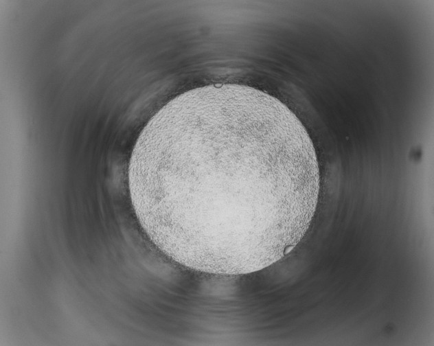 X0000114200138200911201009