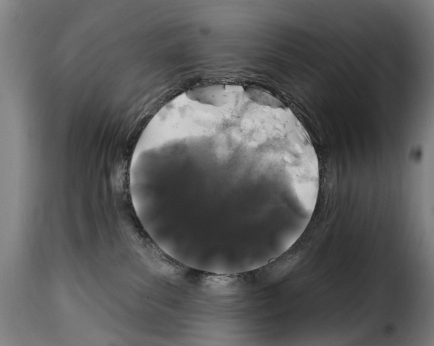 X0000114200139200911201009