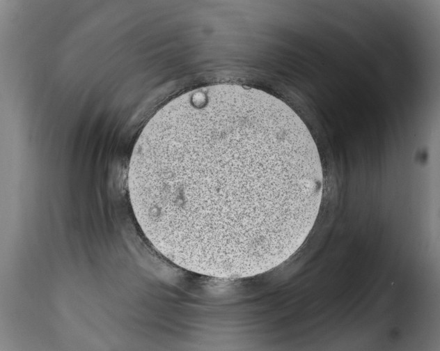 X0000114200142200911201009