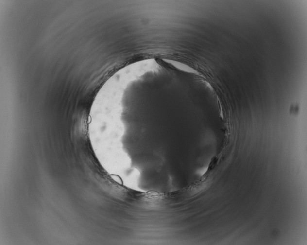 X0000114200143200911201009