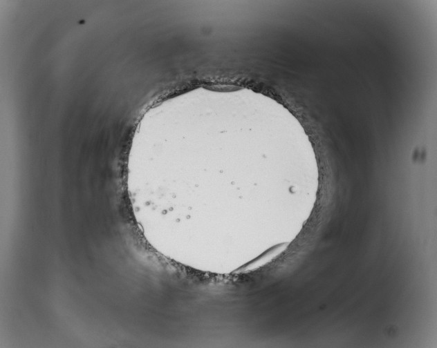 X0000114200144200911201009